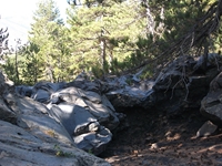 rrente Quarantore-20110911 005